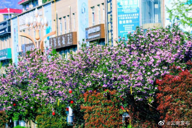 “云南发布”微博