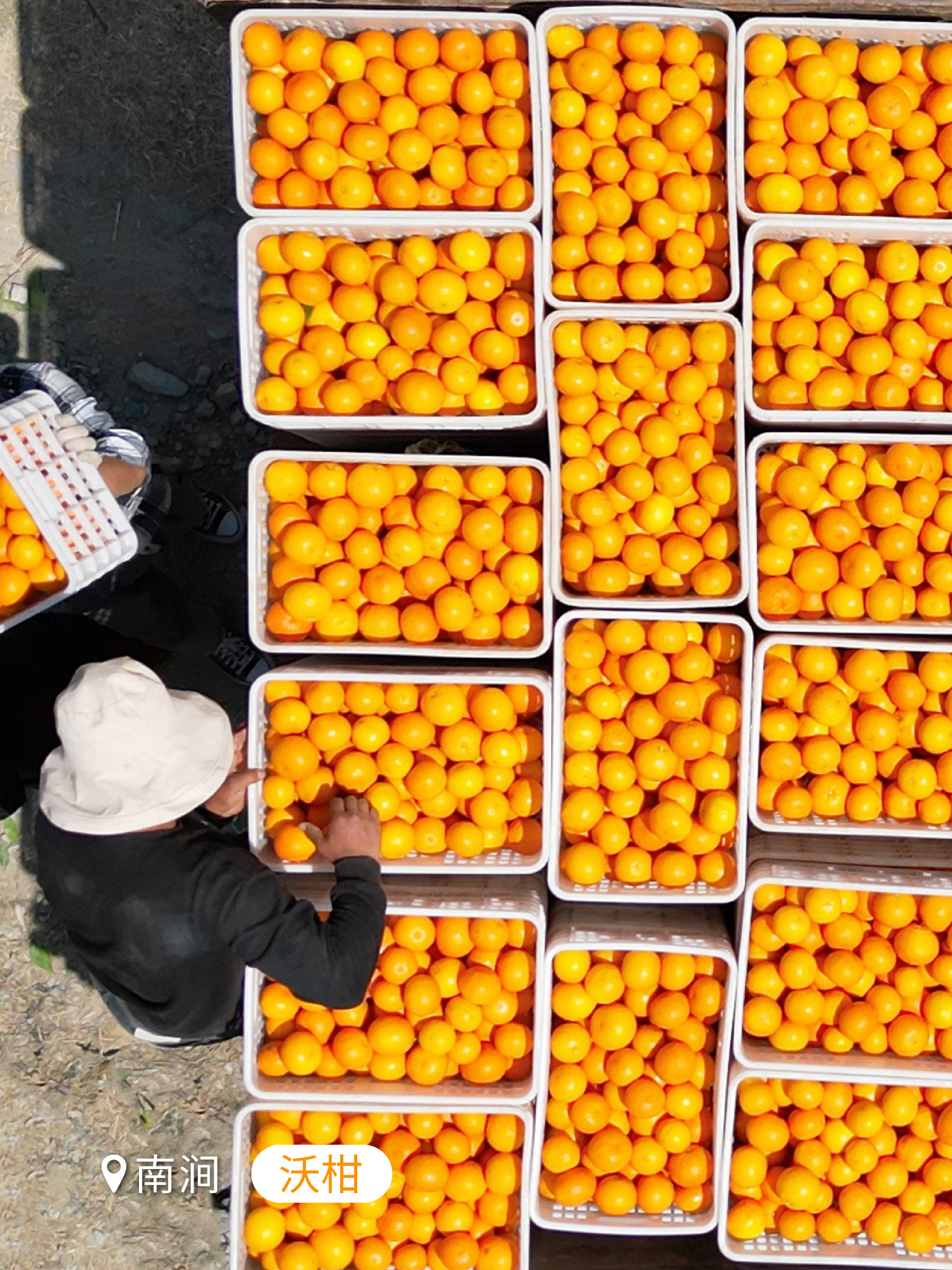 云南省文化和旅游厅