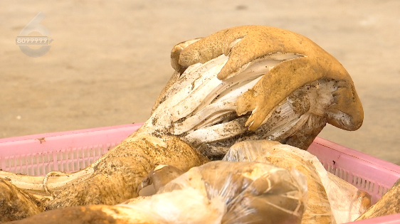 昆明信息港/cnkmxxg