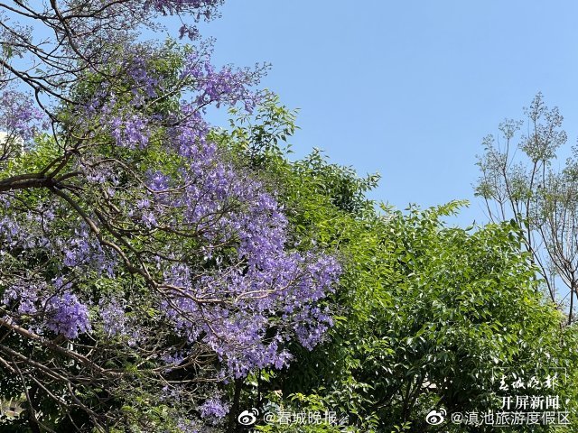 滇池旅游度假区