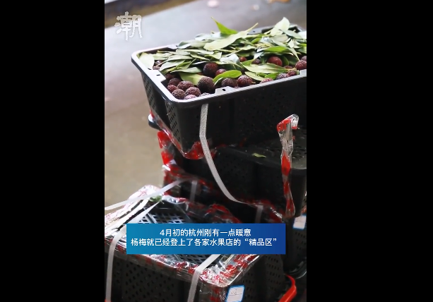 昆明信息港/cnkmxxg