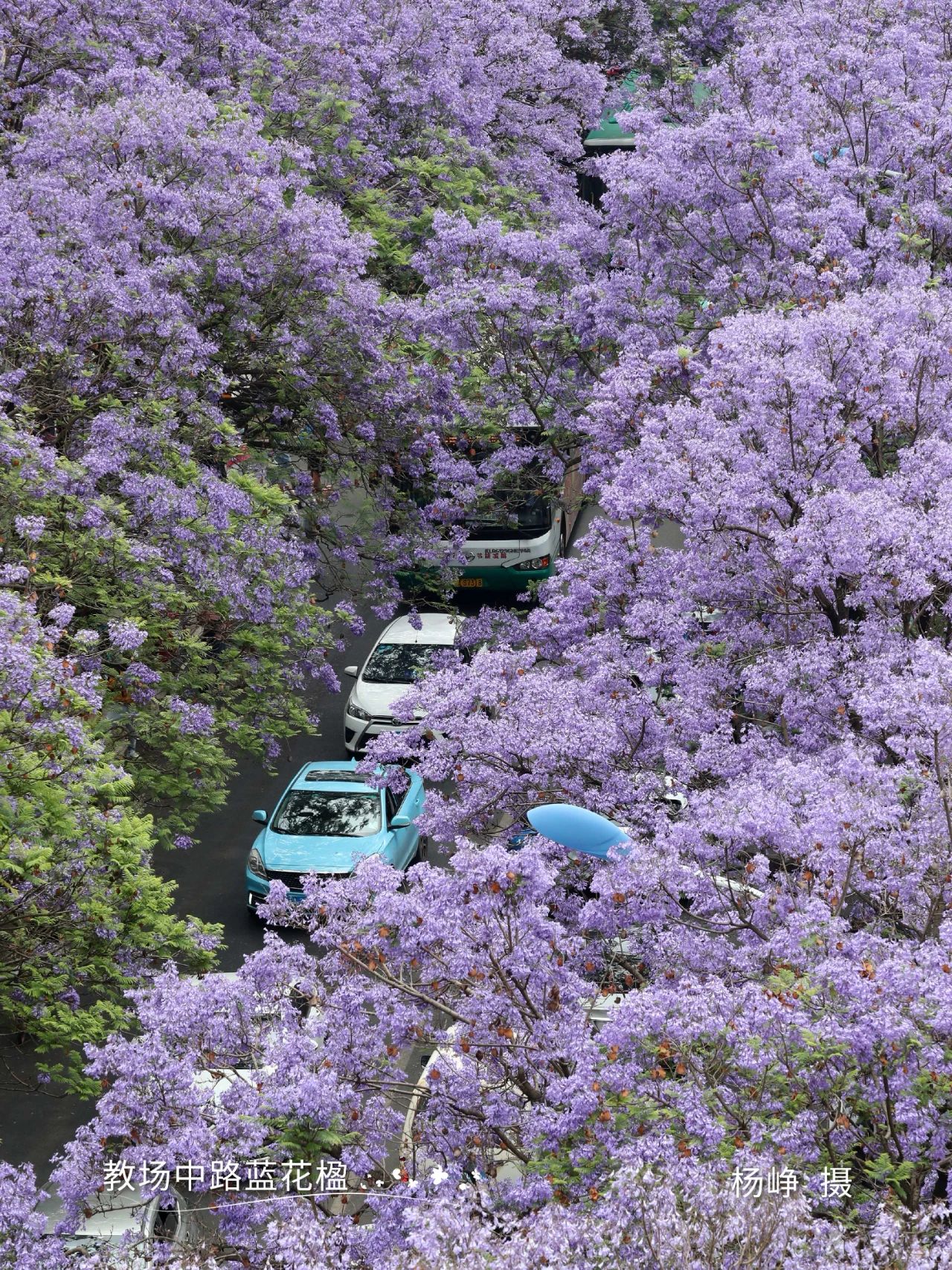 云南省文化和旅游厅