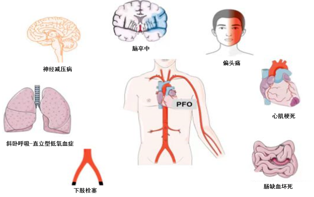 云南省文山州人民医院
