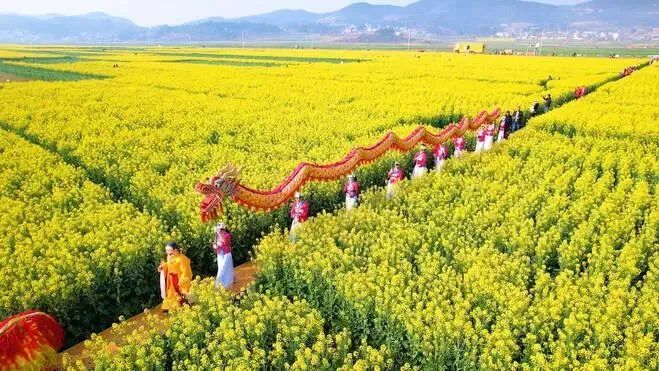 云南省文化和旅游厅