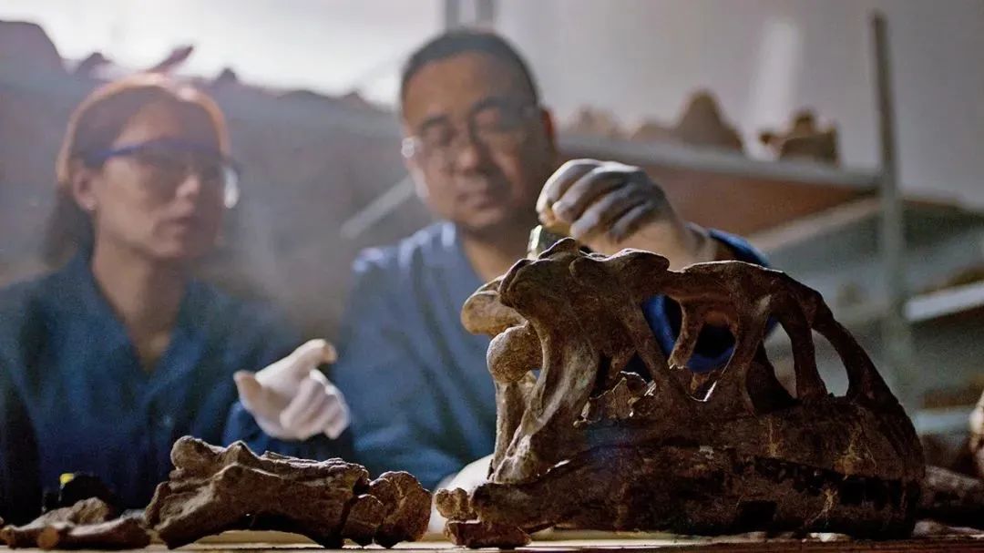 云南省文化和旅游厅