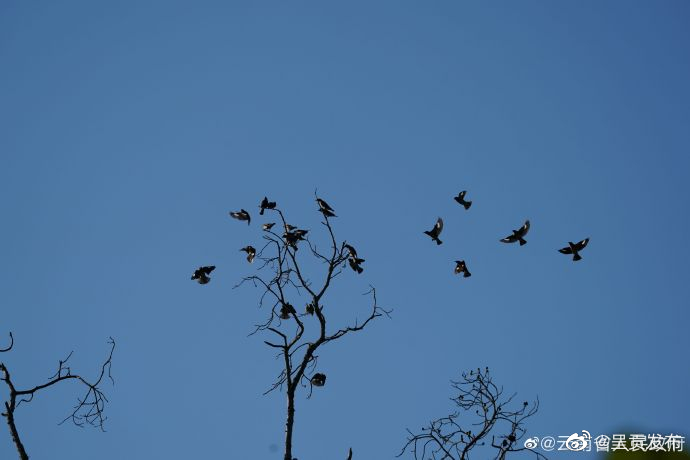 呈贡发布