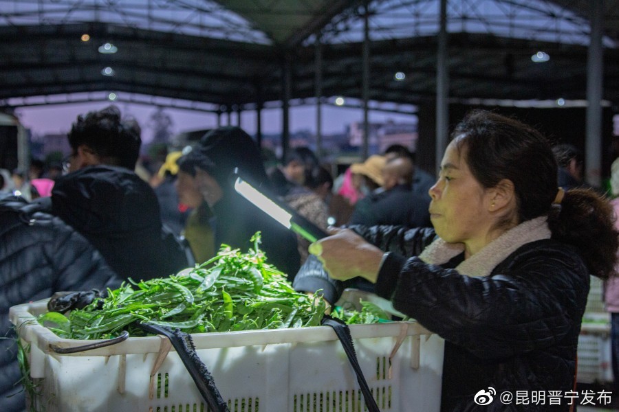 昆明晋宁发布