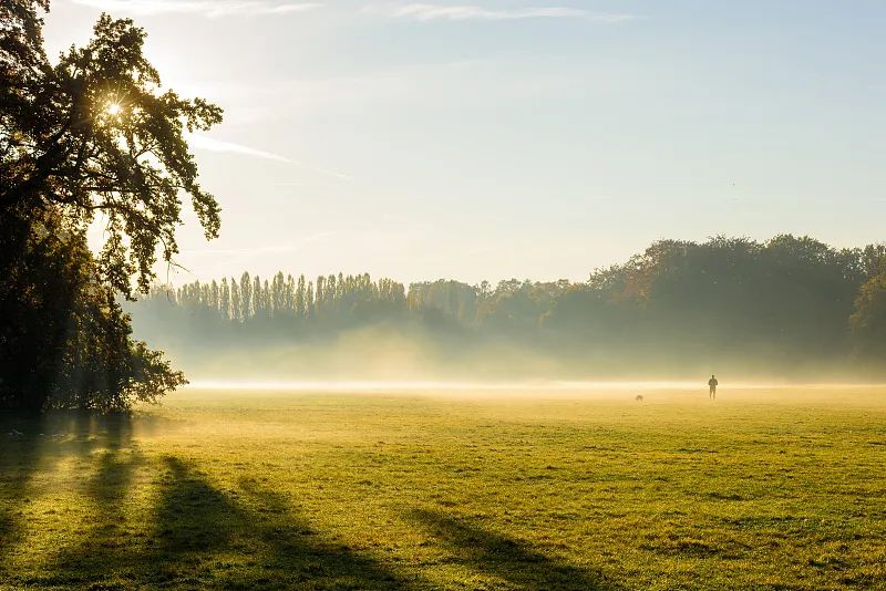 美丽云南微科普