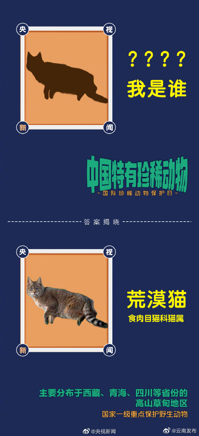 “云南发布”微博