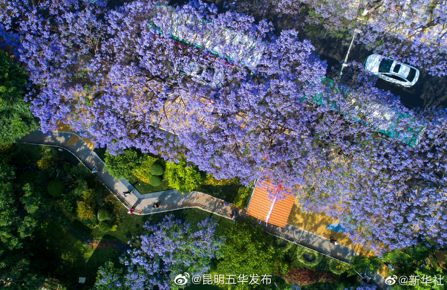 昆明五华发布