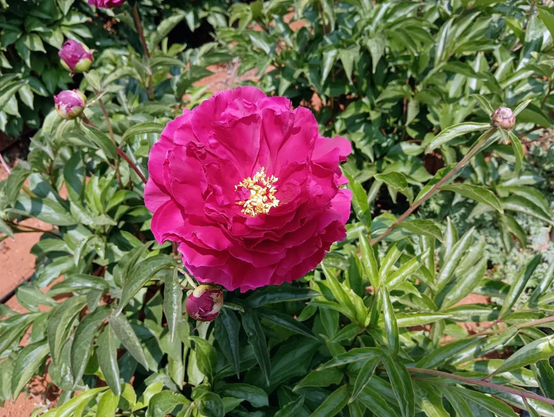 昆明信息港/cnkmxxg