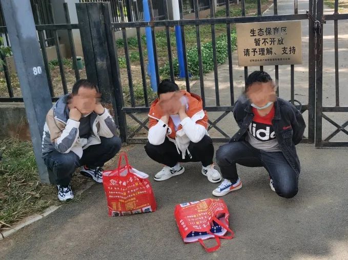 昆明信息港/cnkmxxg
