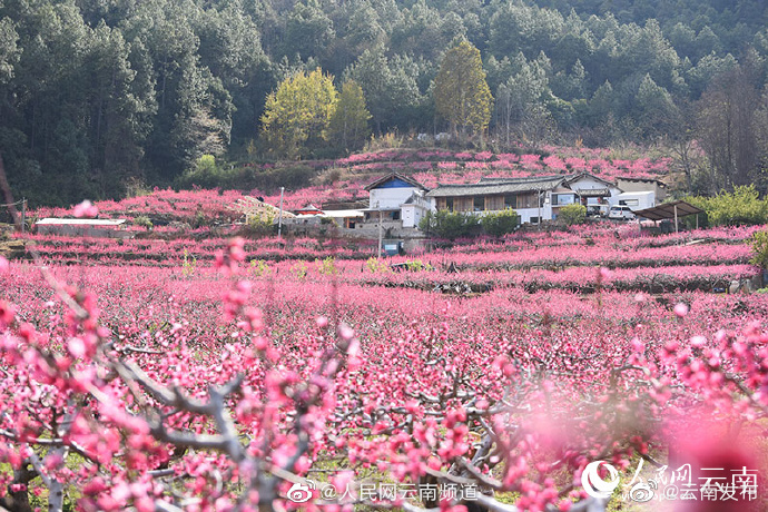 “云南发布”微博