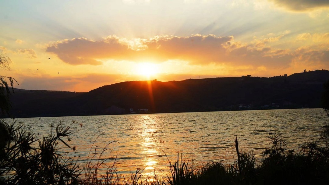 云南省文化和旅游厅