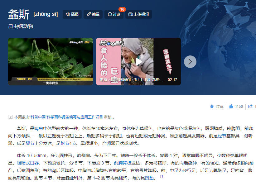 掌上春城