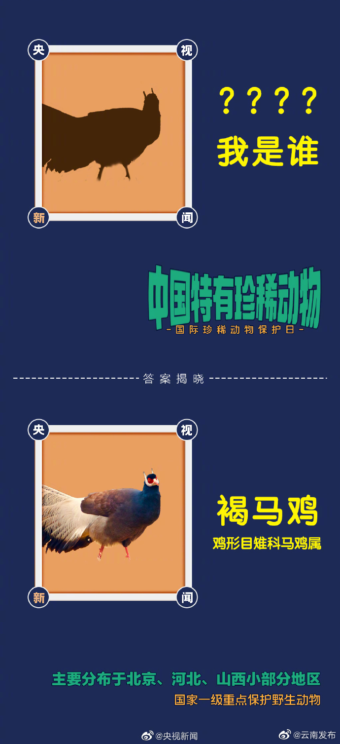 “云南发布”微博