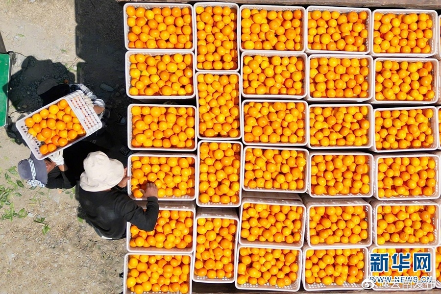 “云南发布”微博