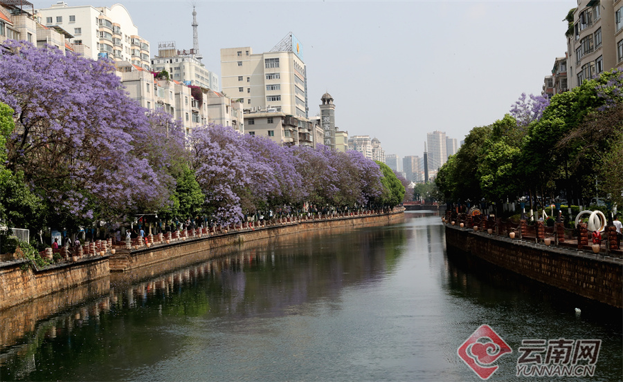 新华网云南频道