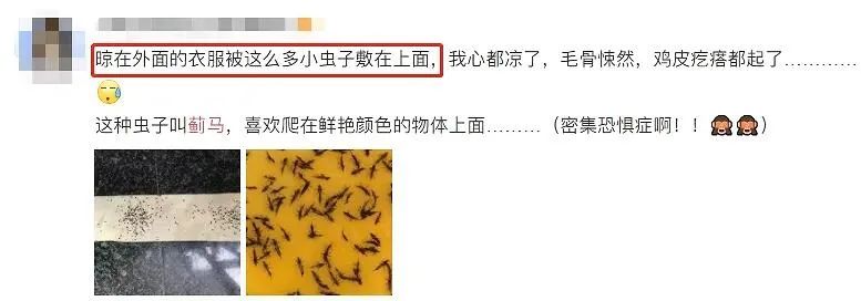 美丽云南微科普