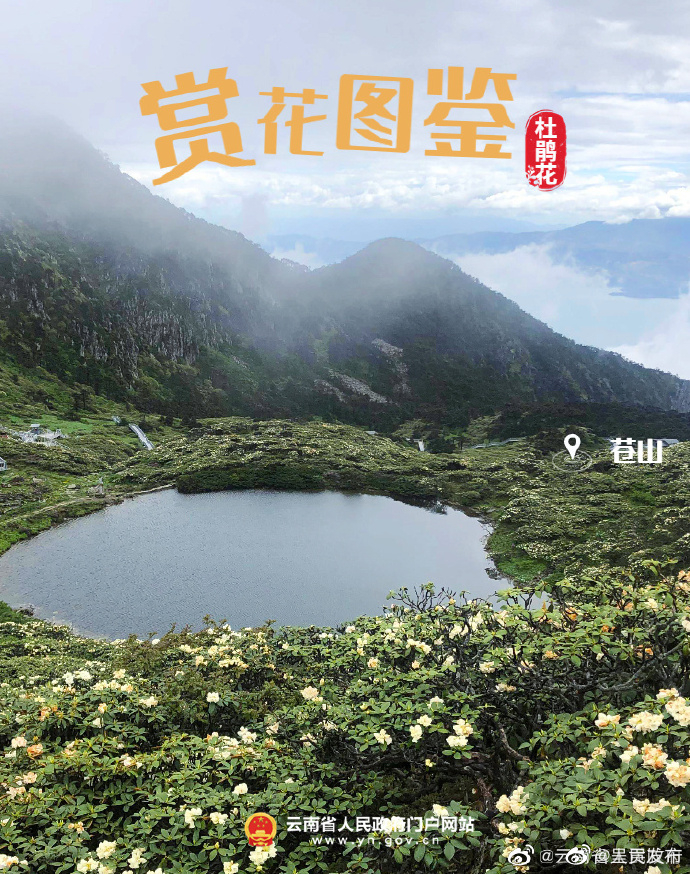呈贡发布