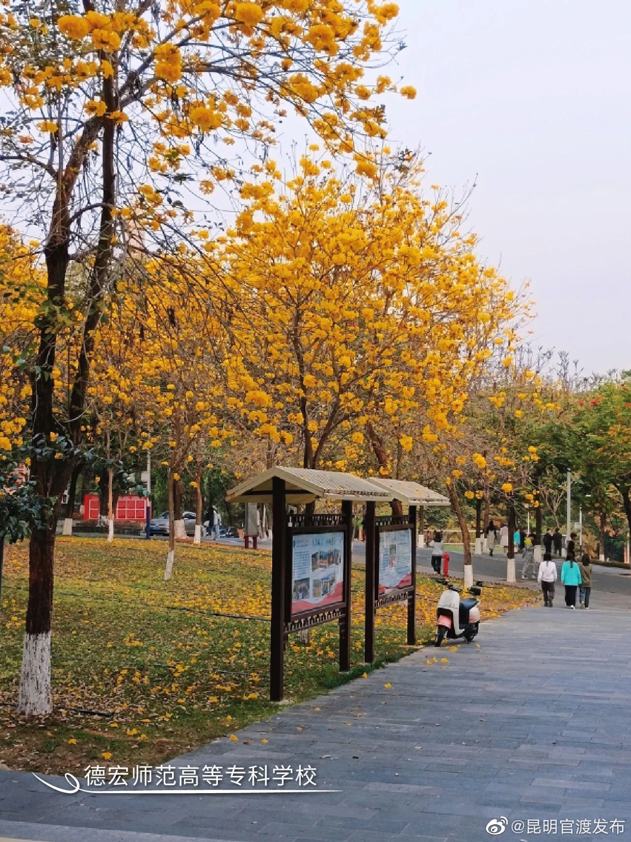 “昆明官渡发布”微博