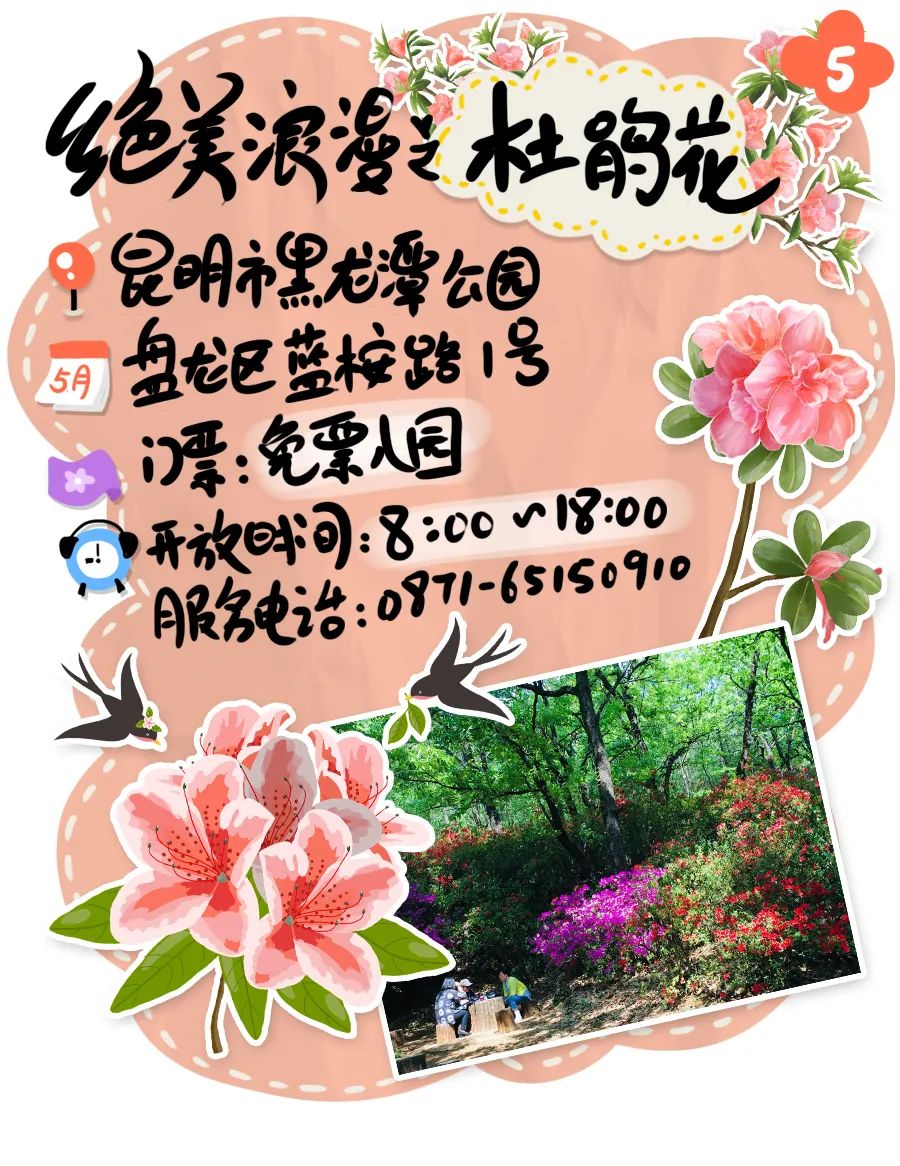 微观盘龙