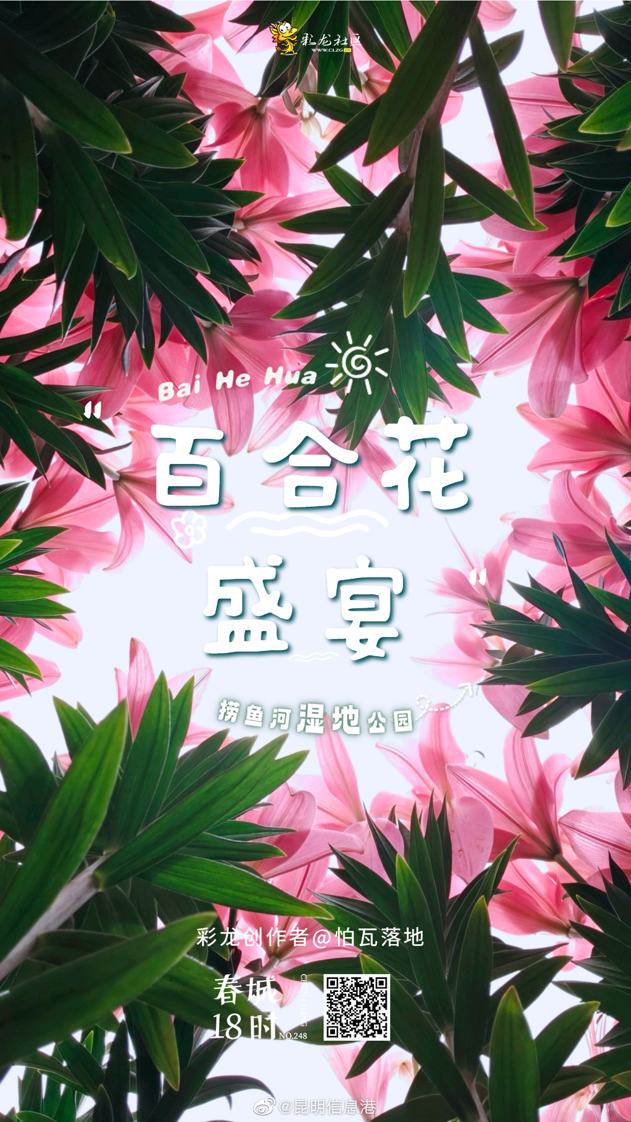 昆明信息港微博