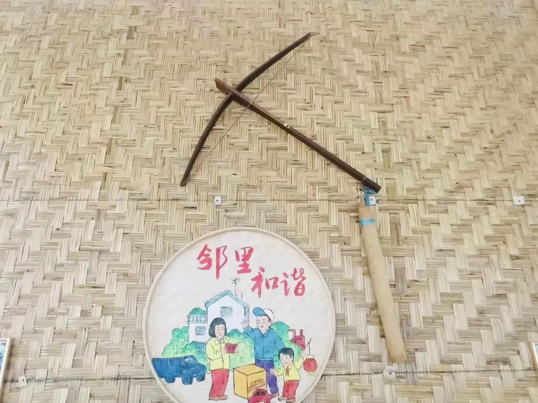 云南政法
