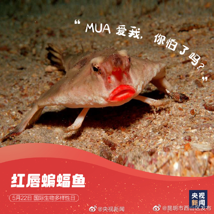 昆明市西山区发布