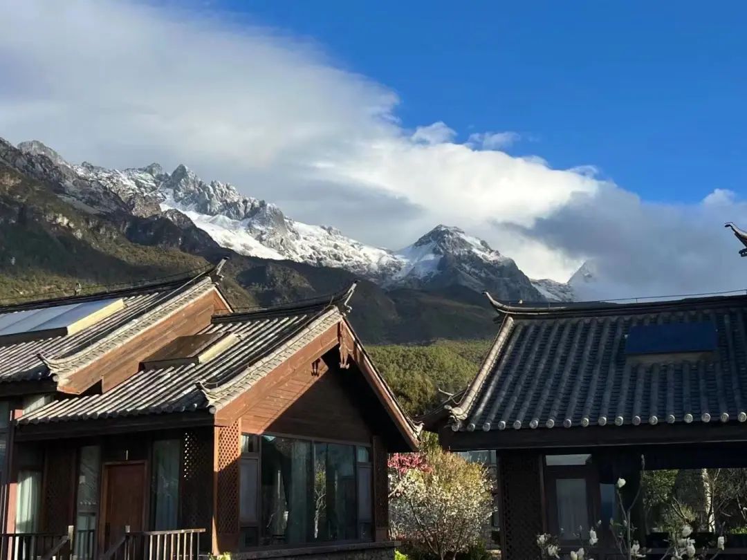 丽江日报