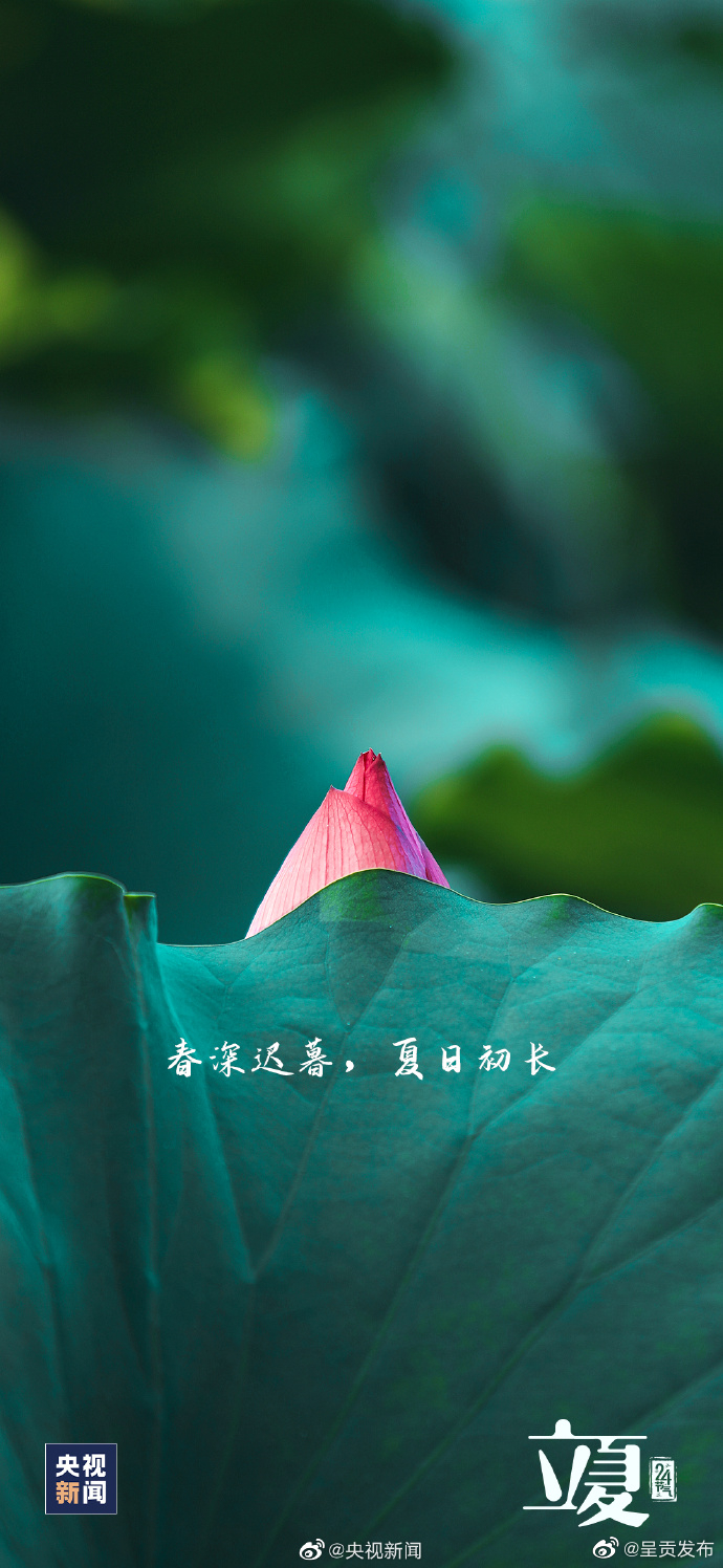呈贡发布