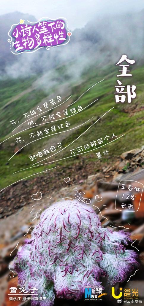 云南发布