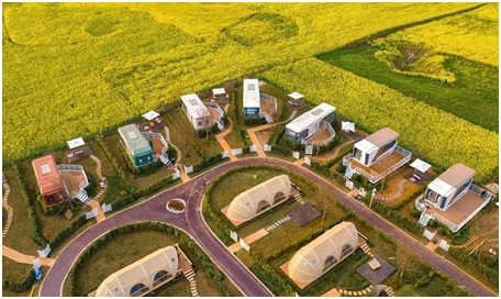 新华网云南频道