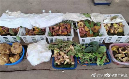 呈贡发布