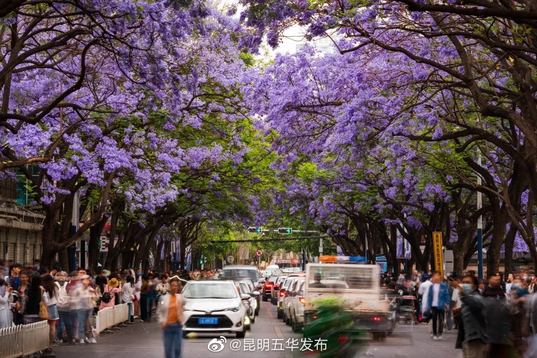 昆明五华发布