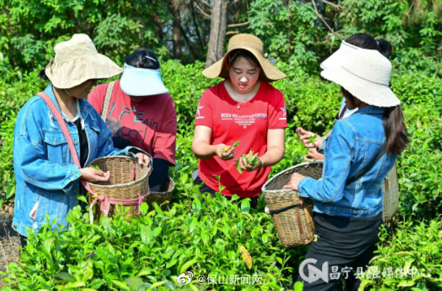 保山新闻网