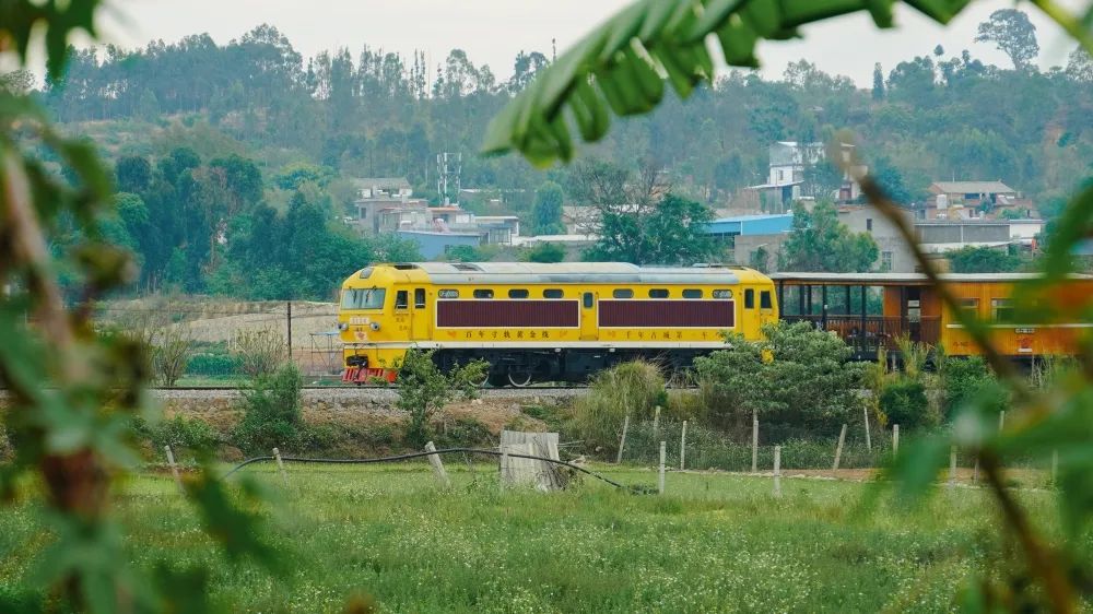 云南广播电视台微信