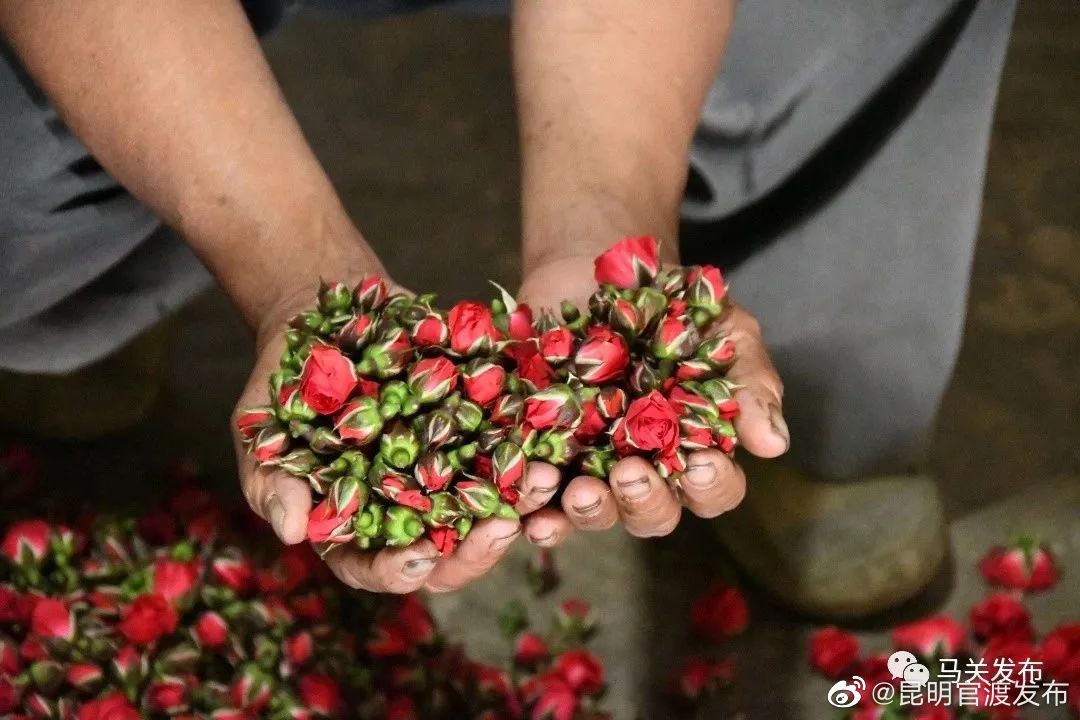 昆明官渡发布