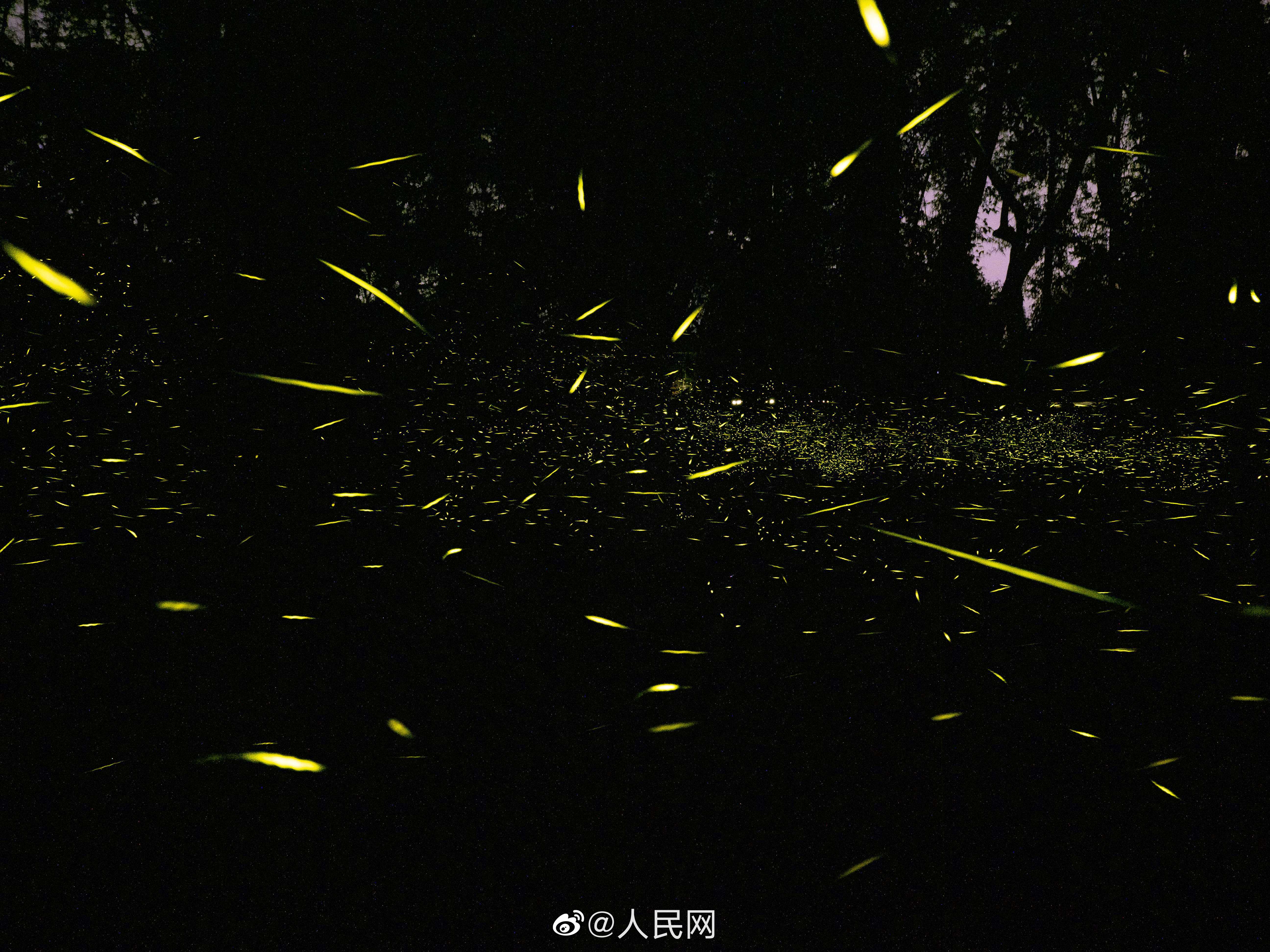 人民网