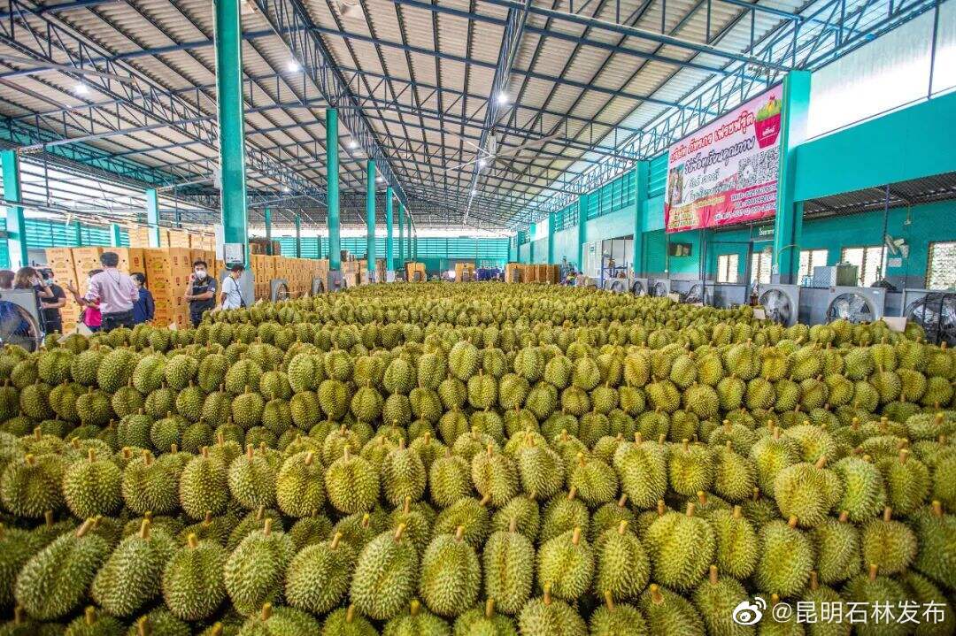 昆明石林发布