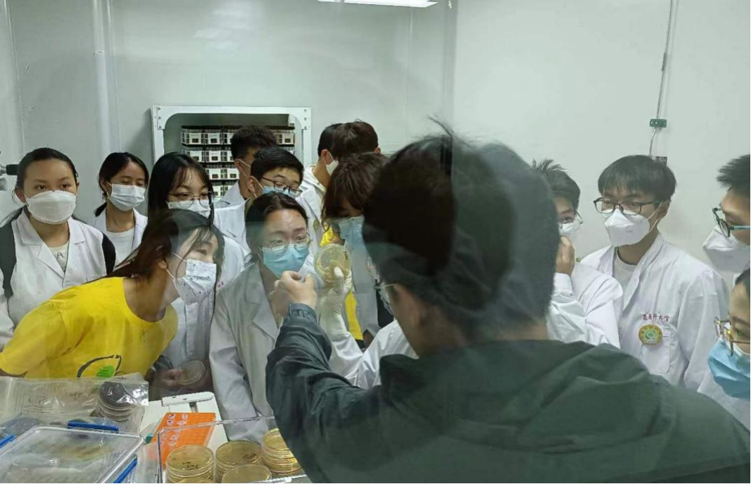 昆明医科大学附属口腔医院