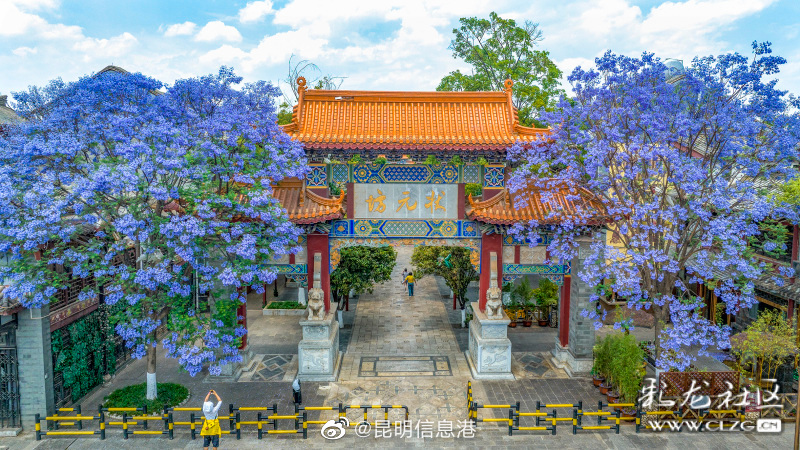 昆明信息港微博