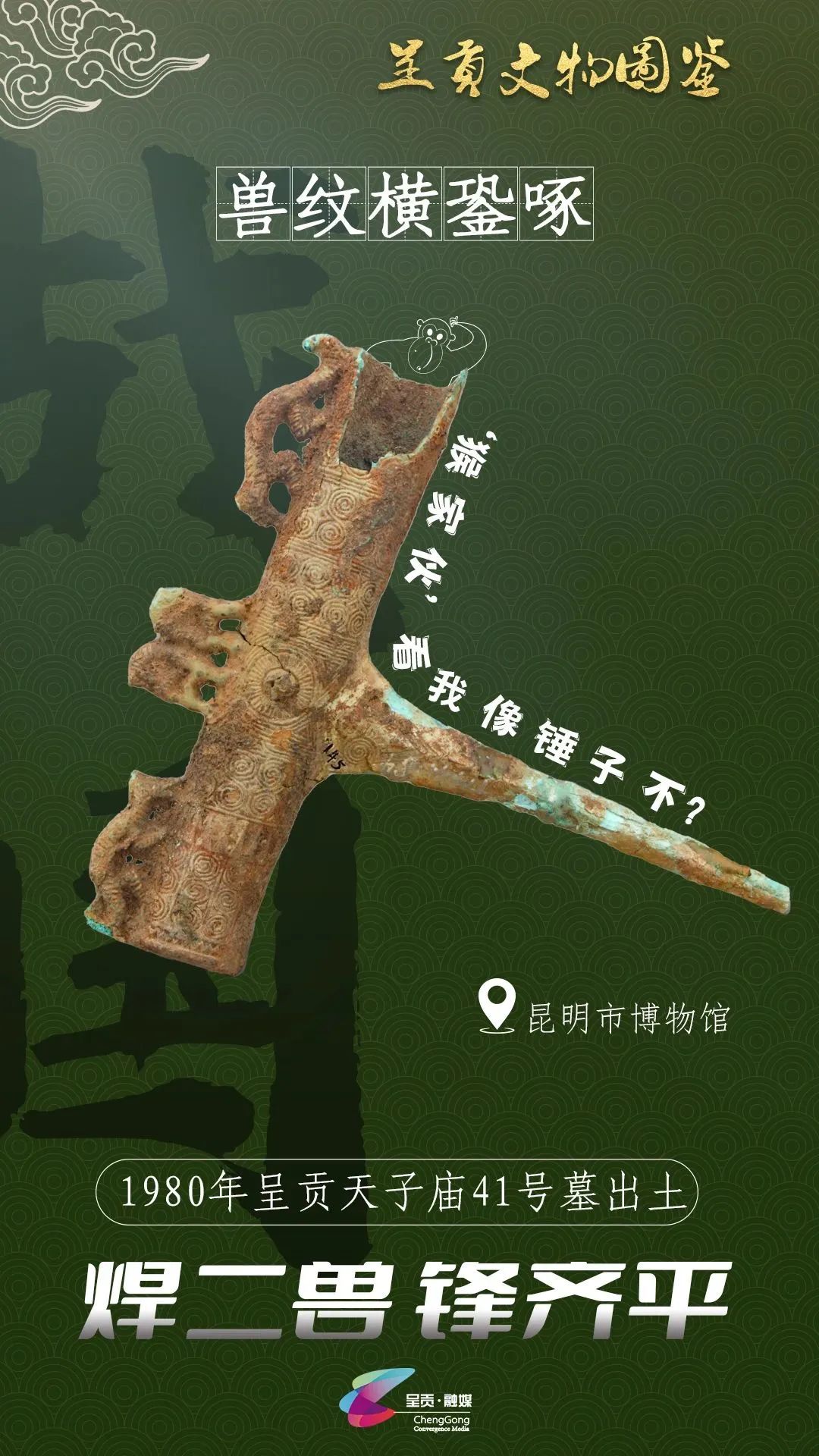 呈贡发布