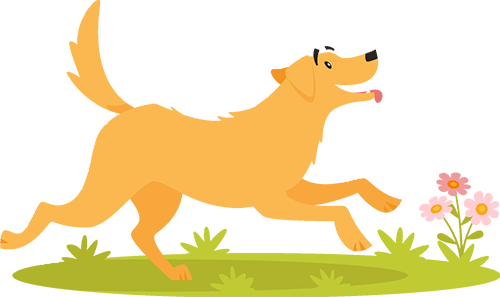 云南野生动物园