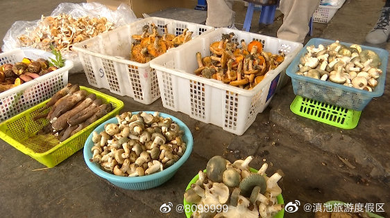 滇池旅游度假区