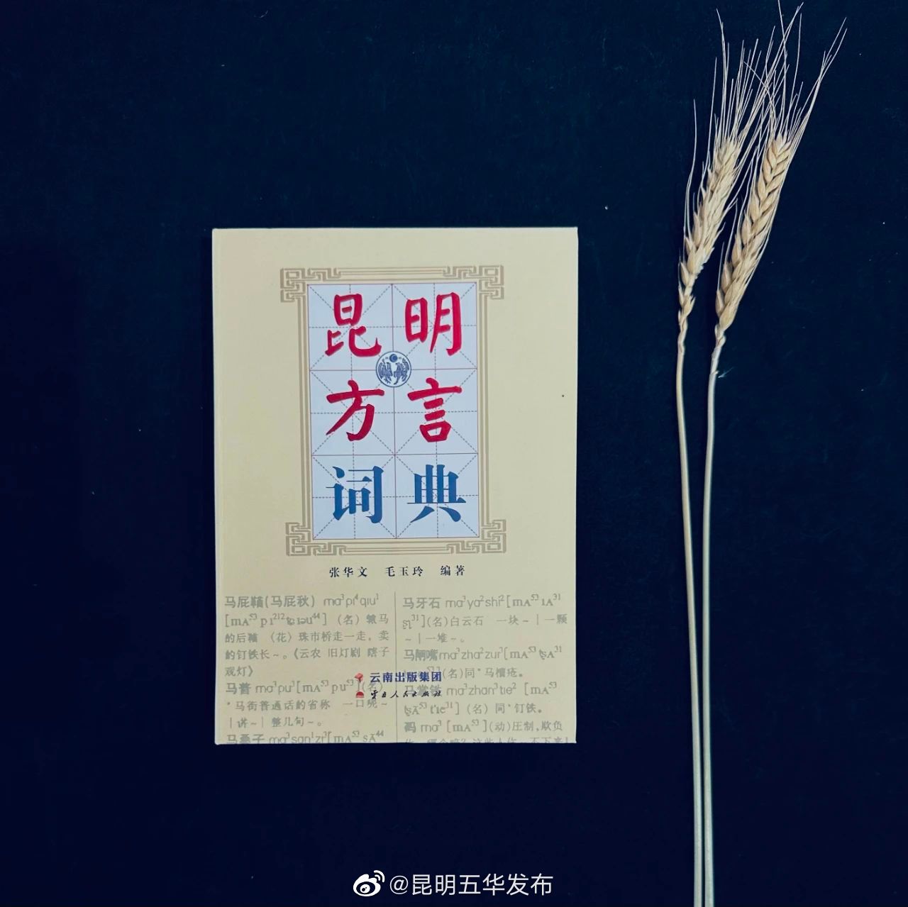 昆明五华发布