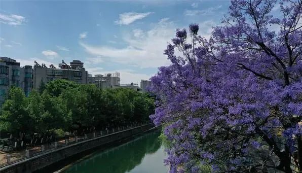 昆明文旅