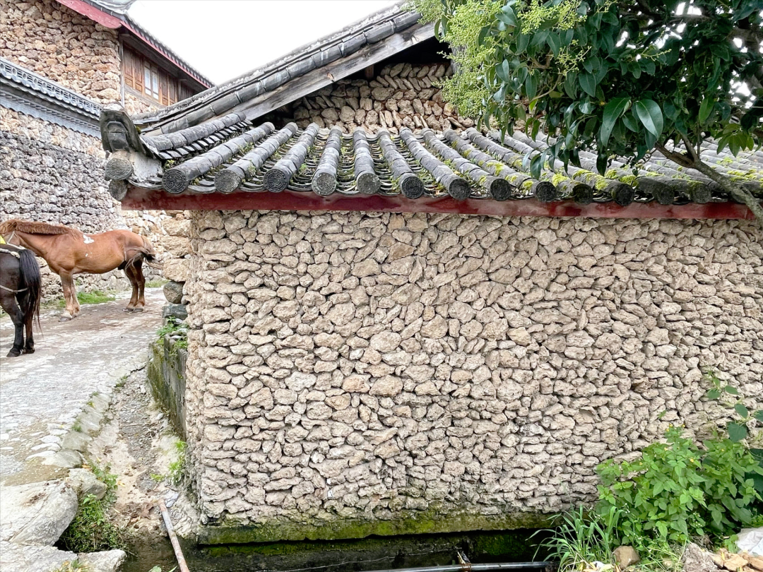 丽江日报