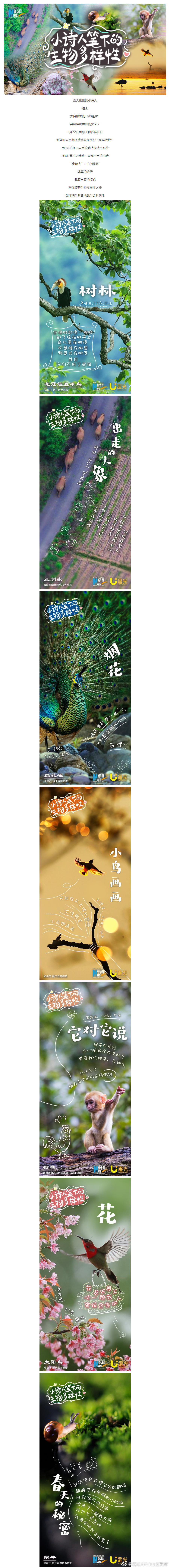昆明市西山区发布