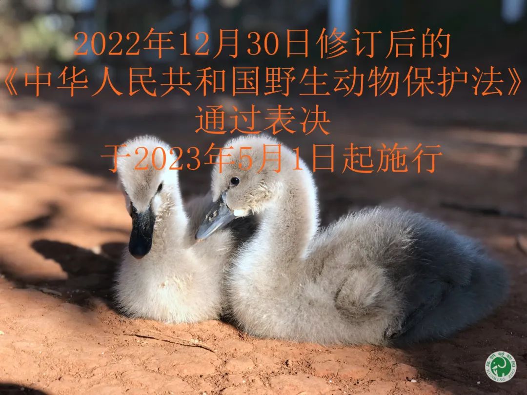 昆明动物园